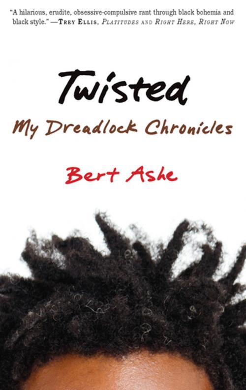 Cover of the book Twisted by Bert Ashe, Agate Publishing