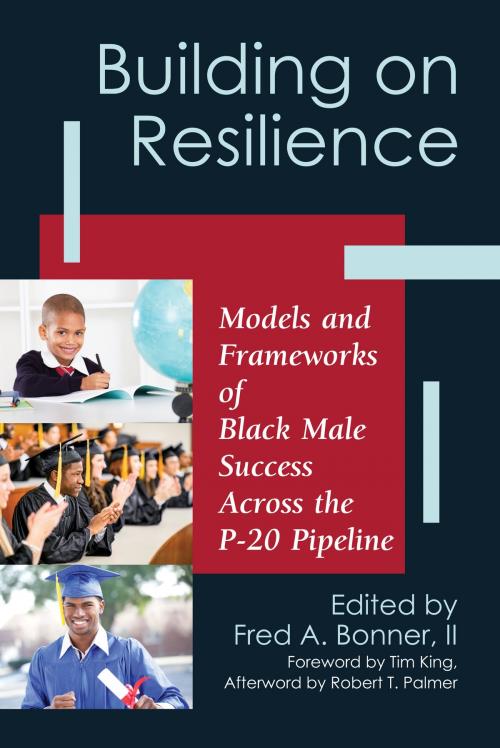 Cover of the book Building on Resilience by , Stylus Publishing
