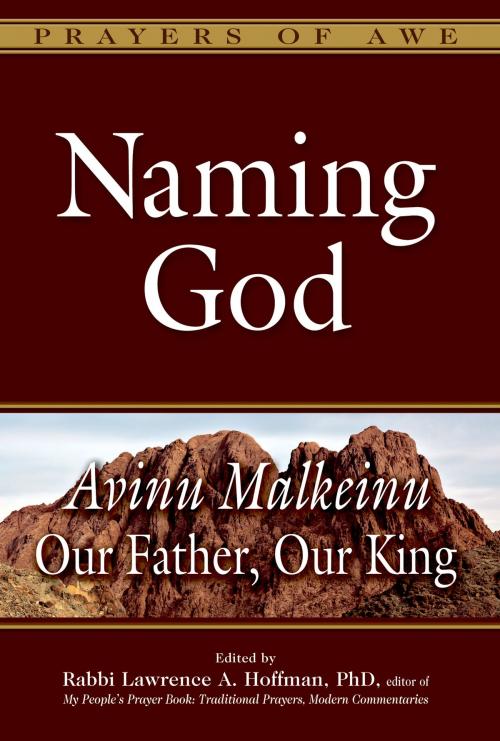 Cover of the book Naming God by Rabbi Lawrence A. Hoffman, PhD, Jewish Lights Publishing
