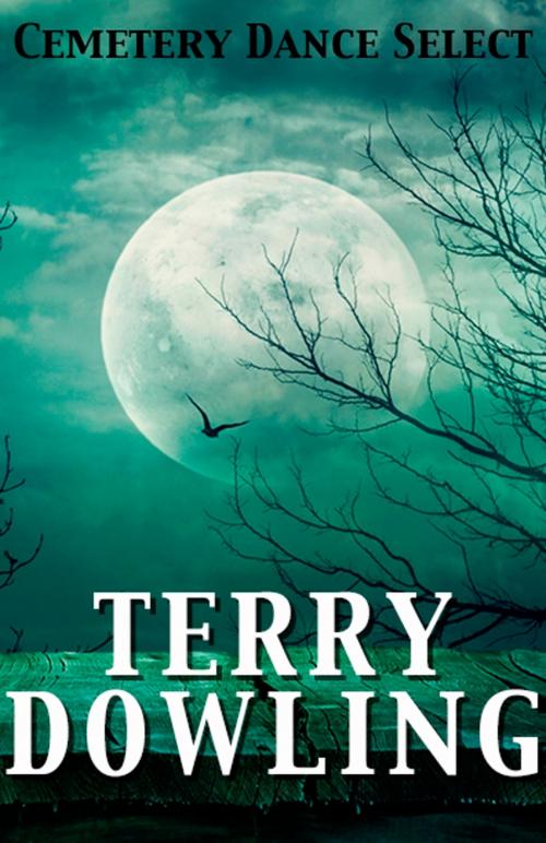Cover of the book Cemetery Dance Select: Terry Dowling by Terry Dowling, Cemetery Dance Publications