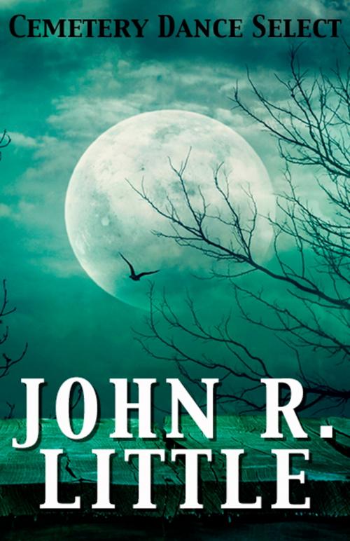 Cover of the book Cemetery Dance Select: John R. Little by John R. Little, Cemetery Dance Publications