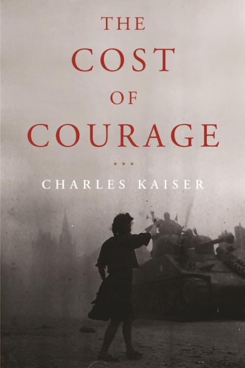 Cover of the book The Cost of Courage by Charles Kaiser, Other Press