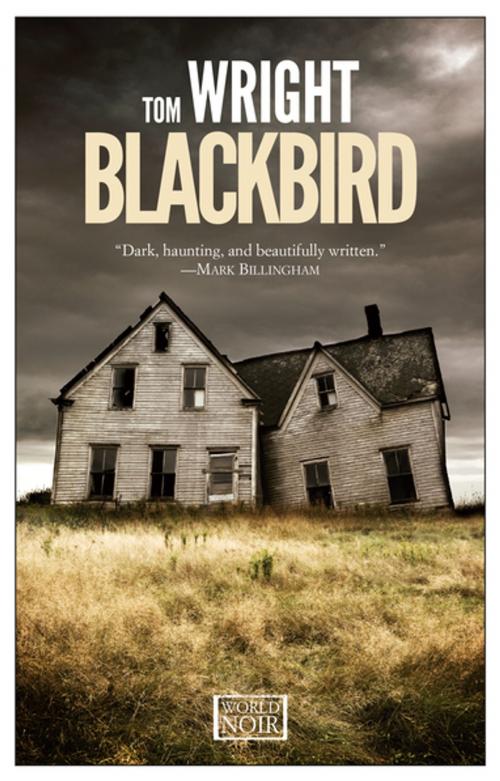 Cover of the book Blackbird by Tom Wright, Europa Editions