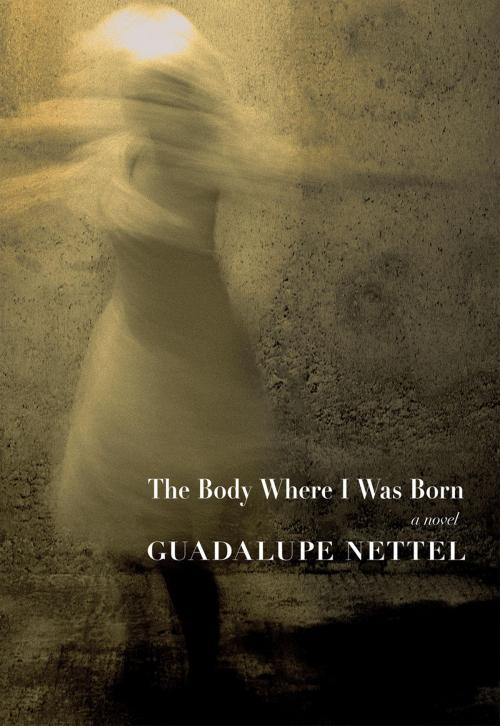 Cover of the book The Body Where I was Born by Guadalupe Nettel, Seven Stories Press