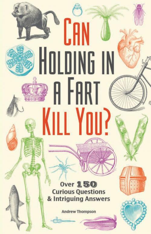 Cover of the book Can Holding in a Fart Kill You? by Andrew Thompson, Ulysses Press