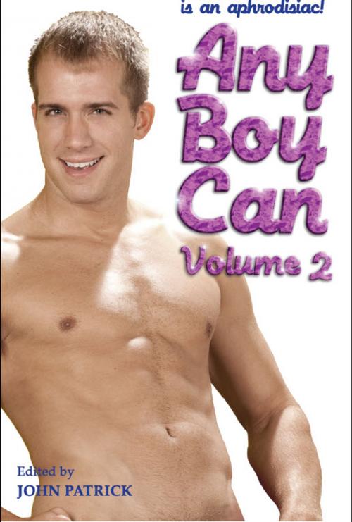 Cover of the book Any boy Can - Volume 2 by , STARbooks Press