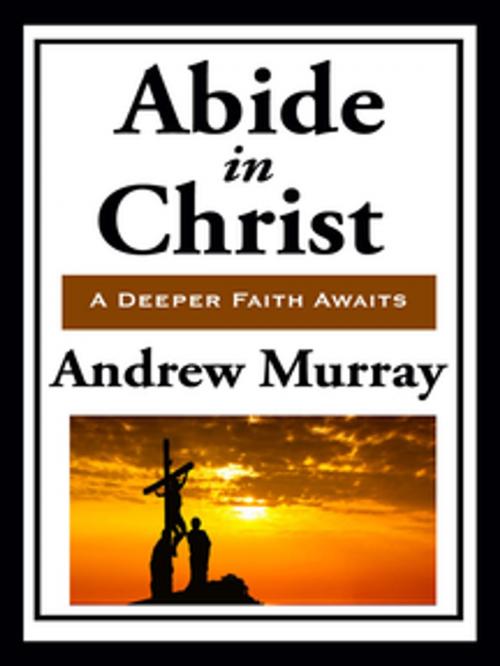 Cover of the book Abide in Christ by Andrew Murray, Wilder Publications, Inc.