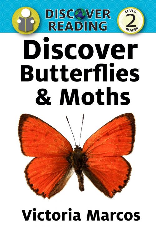 Cover of the book Discover Butterflies & Moths: Level 2 Reader by Victoria Marcos, Xist Publishing
