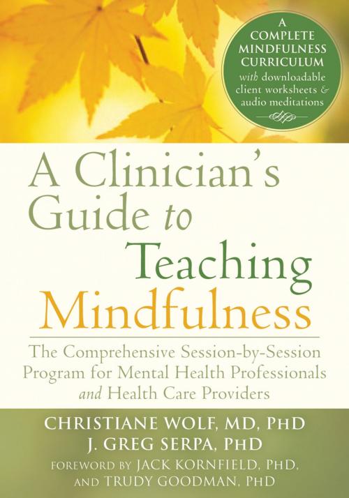 Cover of the book A Clinician's Guide to Teaching Mindfulness by Christiane Wolf, MD, PhD, J. Greg Serpa, PhD, New Harbinger Publications