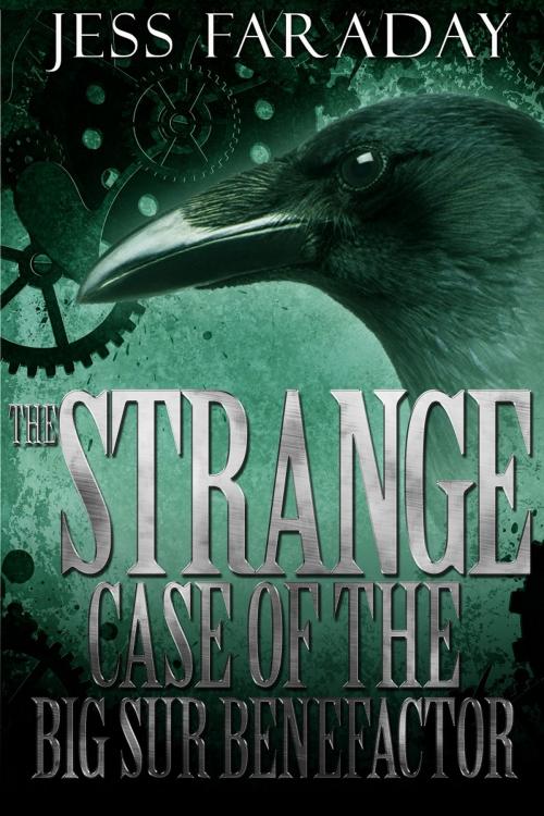 Cover of the book The Strange Case of the Big Sur Benefactor by Jess Faraday, Bold Strokes Books, Inc.