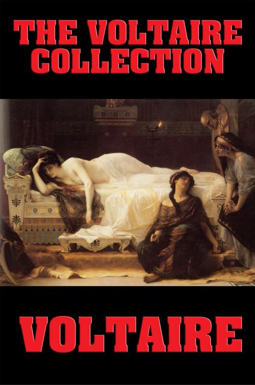 Cover of the book The Voltaire Collection by Voltaire, Wilder Publications, Inc.
