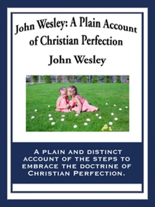 Cover of the book John Wesley: A Plain Account of Christian Perfection by John Wesley, Wilder Publications, Inc.