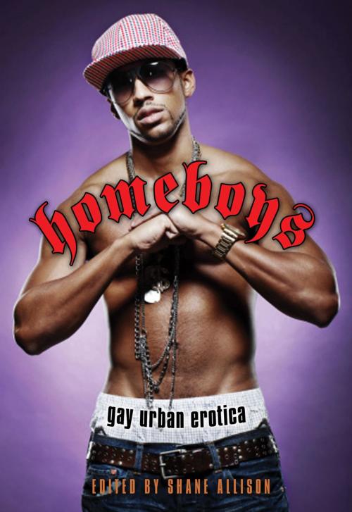 Cover of the book Homeboys: Gay Urban Erotica by , Cleis Press