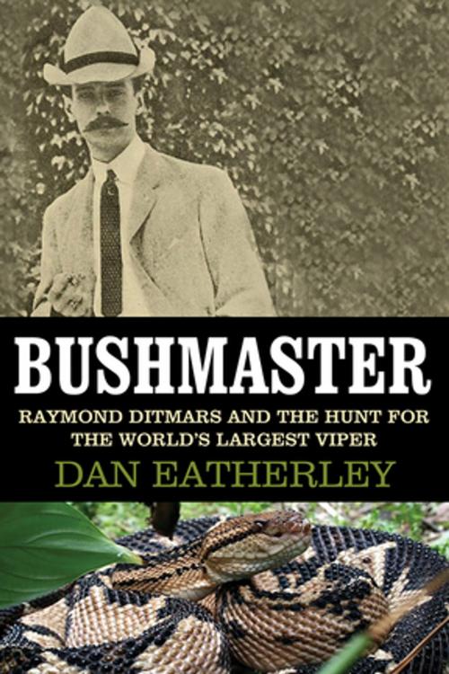 Cover of the book Bushmaster by Dan Eatherley, Skyhorse Publishing
