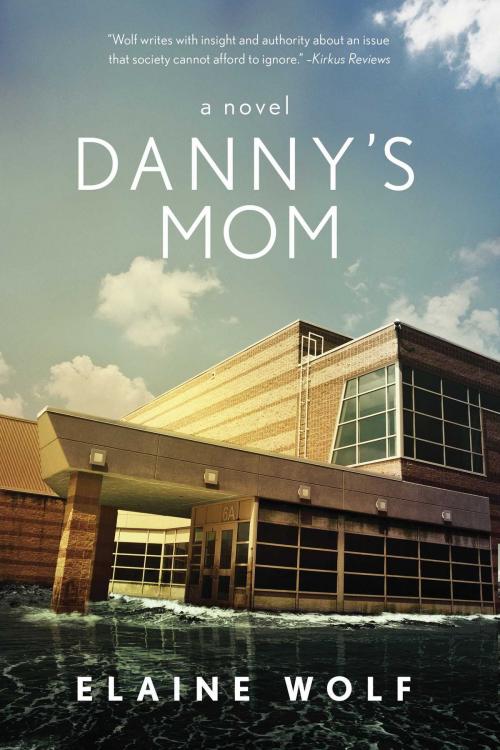 Cover of the book Danny's Mom by Elaine Wolf, Arcade