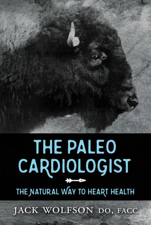 Cover of the book The Paleo Cardiologist by Jack Wolfson, DO, FACC, Morgan James Publishing