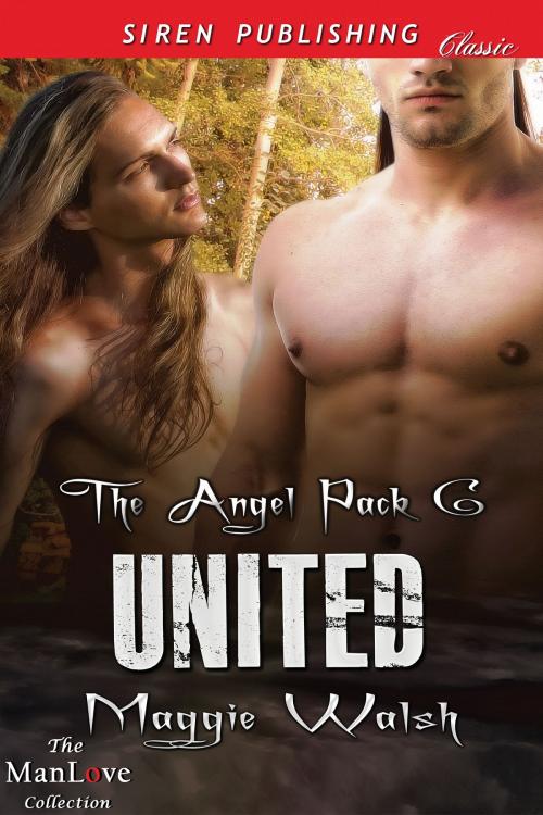 Cover of the book United by Maggie Walsh, Siren-BookStrand