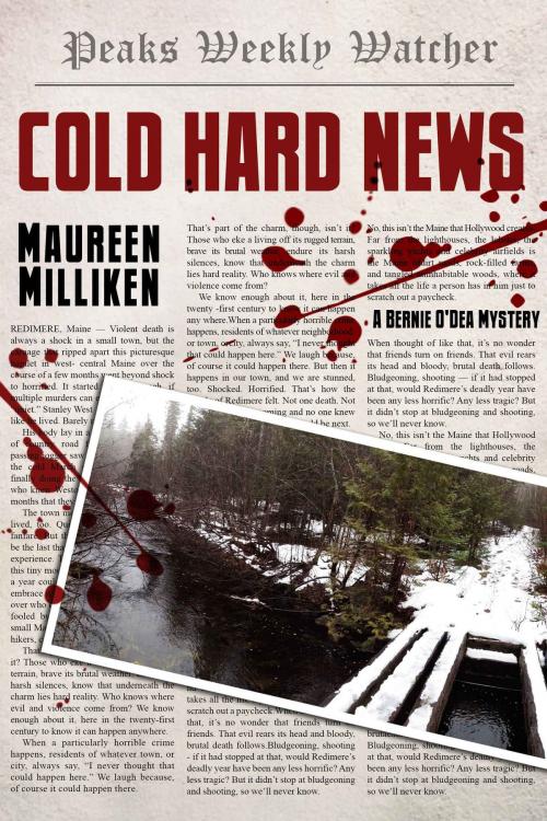 Cover of the book Cold Hard News by Maureen Milliken, S & H Publishing, Inc.