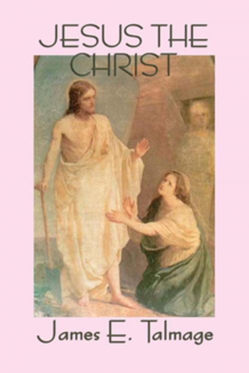 Cover of the book Jesus the Christ by James E. Talmage, Wilder Publications, Inc.