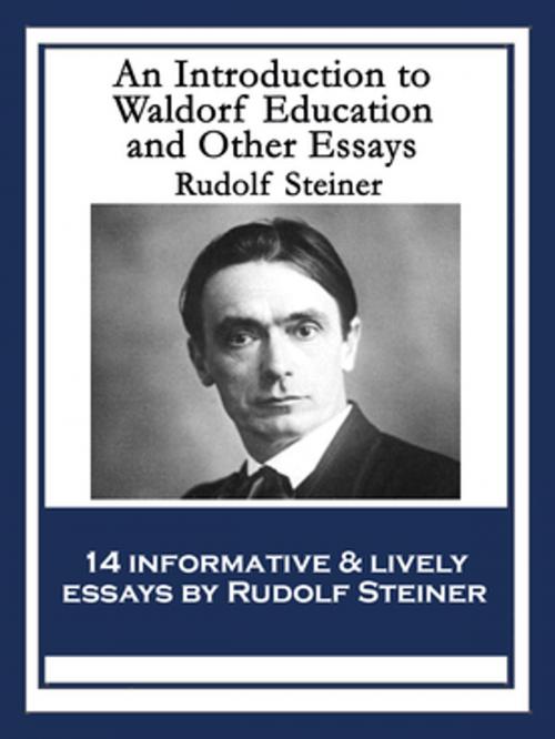Cover of the book An Introduction to Waldorf Education and Other Essays by Rudolf Steiner, Wilder Publications, Inc.