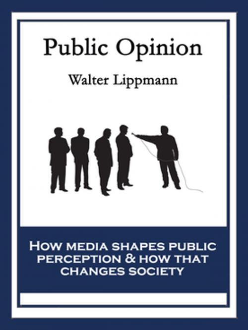 Cover of the book Public Opinion by Walter Lippmann, Wilder Publications, Inc.