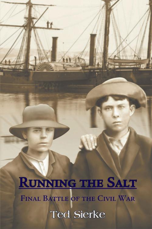Cover of the book Running the Salt by Ted Sierke, Strategic Book Publishing & Rights Co.