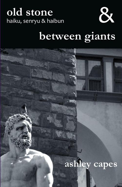 Cover of the book old stone & between giants by Ashley Capes, Ginninderra Press