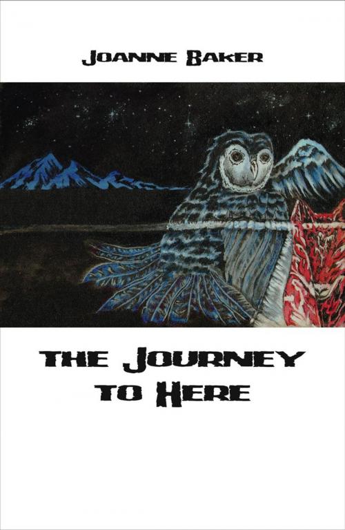 Cover of the book Journey to Here by Jo Baker, Ginninderra Press