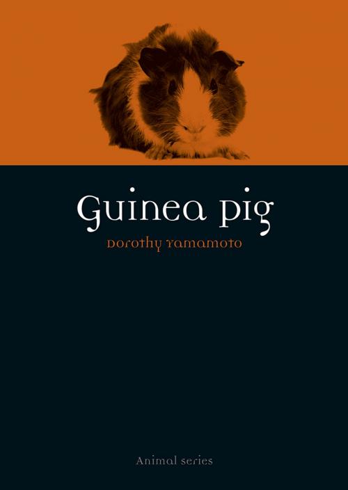 Cover of the book Guinea Pig by Dorothy Yamamoto, Reaktion Books