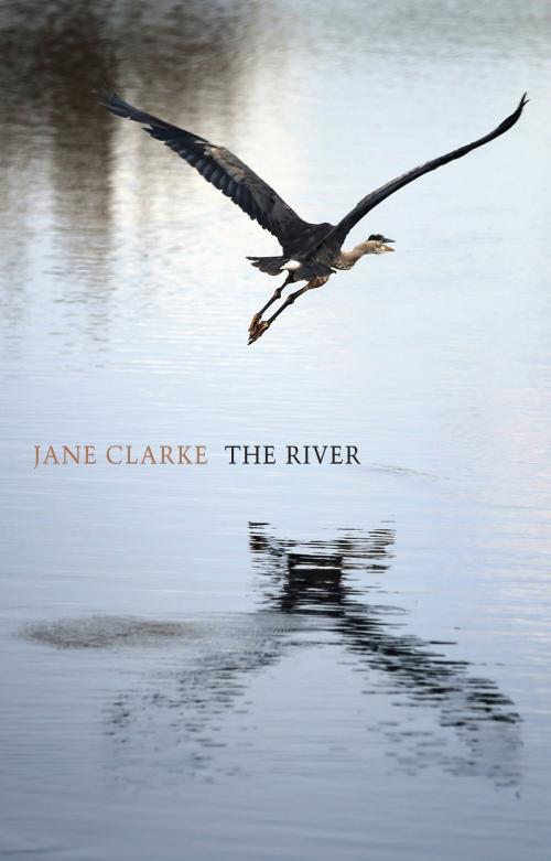 Cover of the book The River by Jane Clarke, Bloodaxe Books