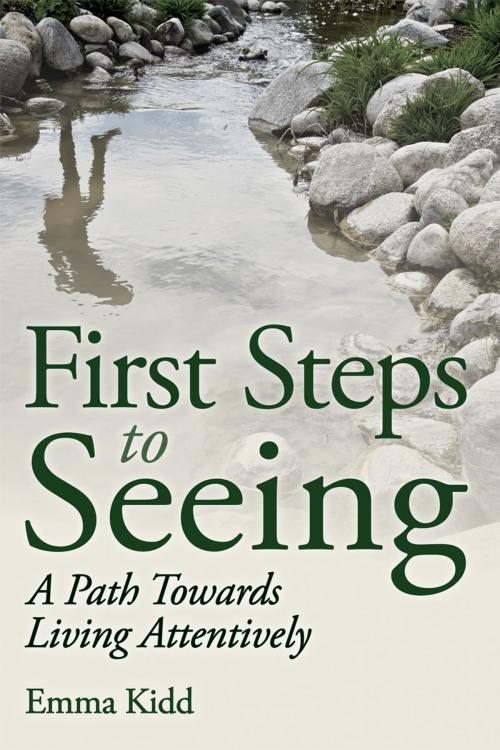 Cover of the book First Steps to Seeing by Emma Kidd, Floris Books