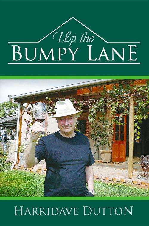 Cover of the book Up the Bumpy Lane by Harridave Dutton, Spiderwize