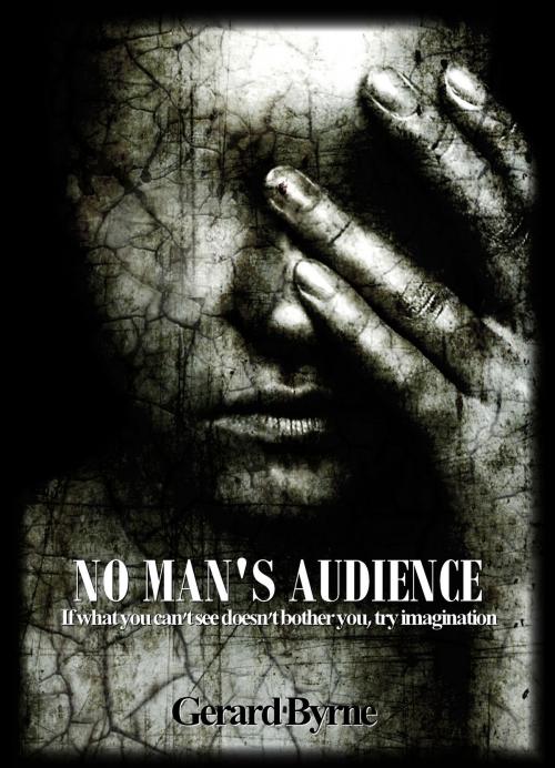Cover of the book No Man's Audience by Gerard Byrne, Storm Rhino Publishing