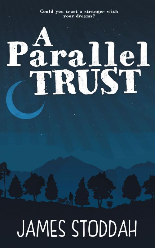 Cover of the book A Parallel Trust by James Stoddah, 2QT Limited (Publishing)