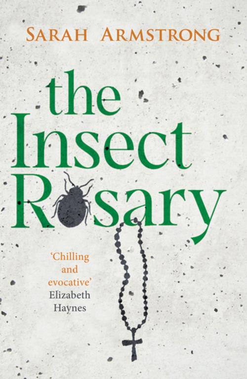Cover of the book The Insect Rosary by Sarah Armstrong, Sandstone Press Ltd