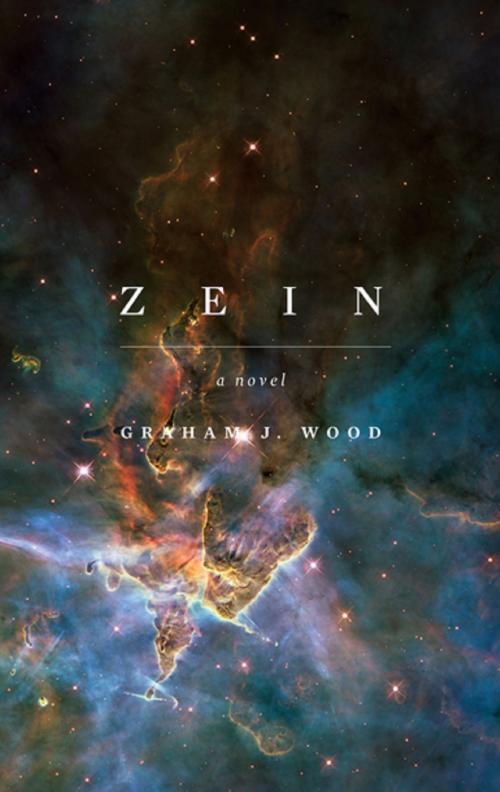 Cover of the book Zein: The Prophecy by Graham J. Wood, Clink Street Publishing