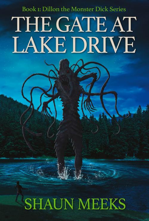 Cover of the book The Gate At Lake Drive by Shaun Meeks, IFWG Publishing International