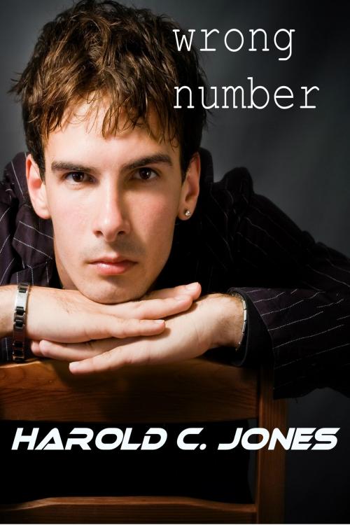 Cover of the book Wrong Number by Harold C. Jones, Long Cool One Books