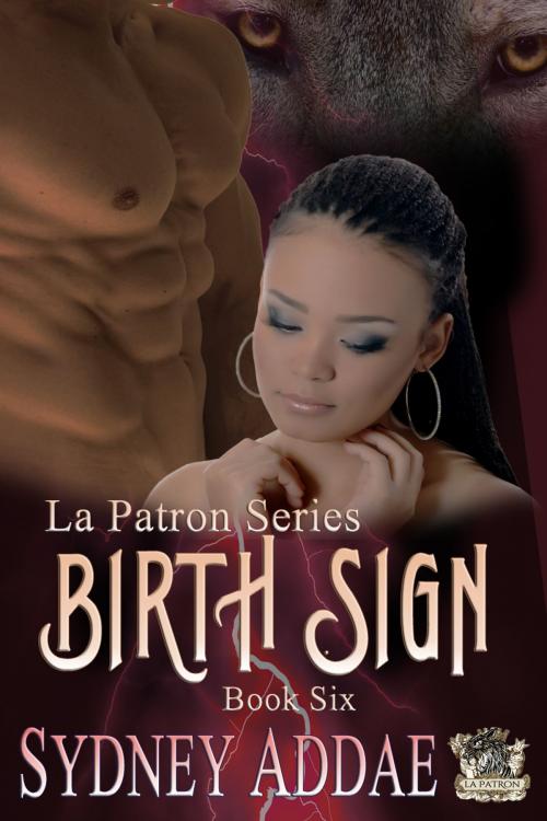Cover of the book BirthSign by Sydney Addae, Sitting Bull Publications, LLC