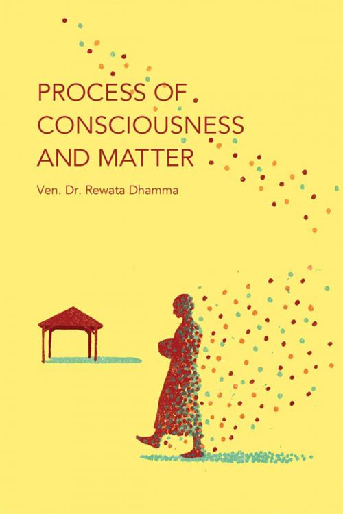 Cover of the book Process of Consciousness and Matter by Ven. Dr. Rewata Dhamma, Pariyatti Publishing