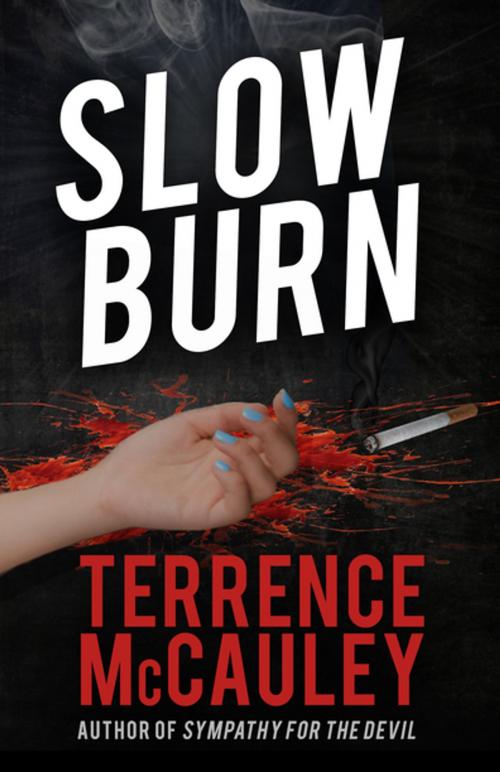 Cover of the book Slow Burn by Terrence McCauley, Polis Books