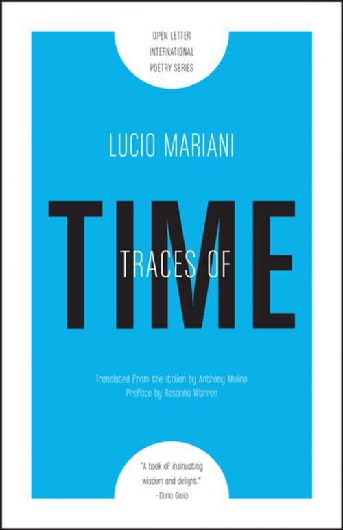 Cover of the book Traces of Time by Lucio Mariani, Open Letter