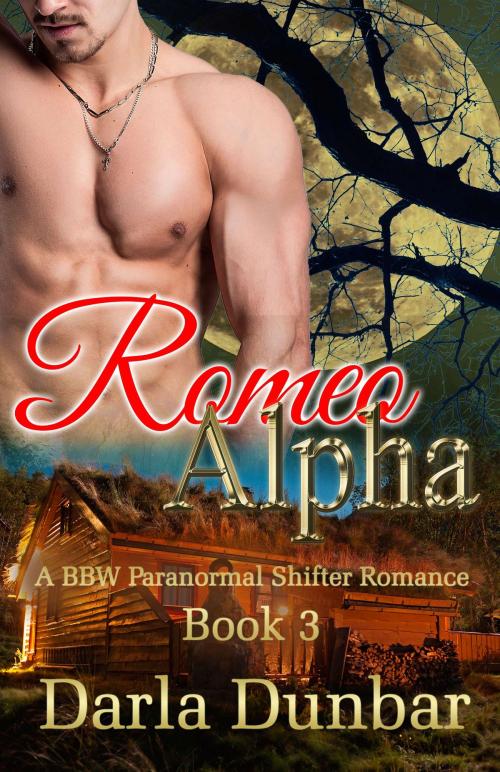 Cover of the book Romeo Alpha - Book 3 by Darla Dunbar, Revelry Publishing