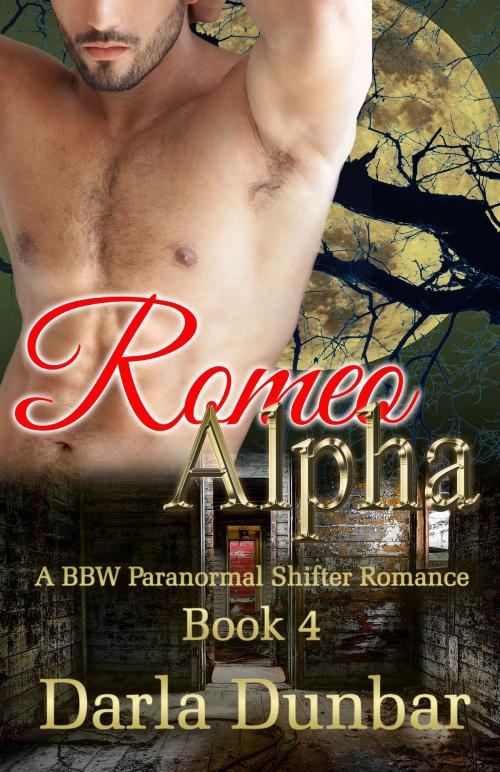 Cover of the book Romeo Alpha - Book 4 by Darla Dunbar, Revelry Publishing