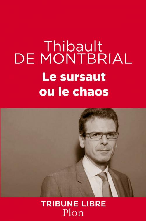Cover of the book Le sursaut ou le chaos by Thibault de MONTBRIAL, Place des éditeurs