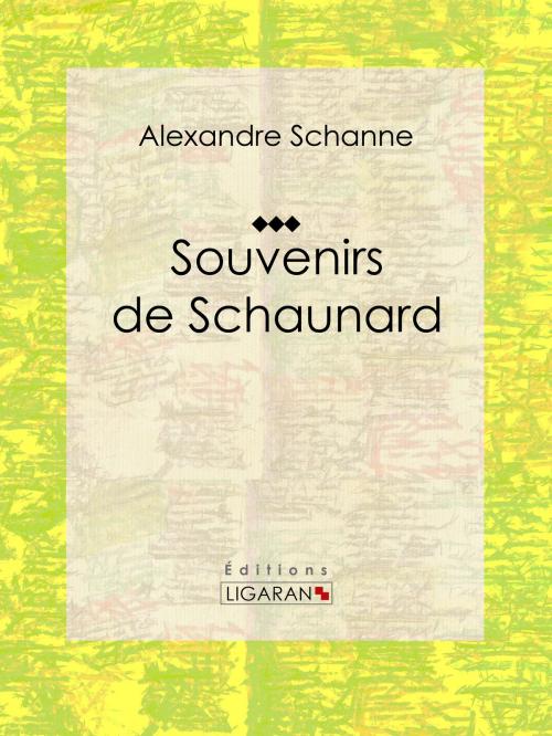 Cover of the book Souvenirs de Schaunard by Alexandre Schanne, Ligaran, Ligaran