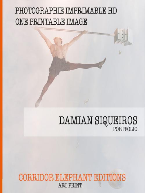 Cover of the book Damian Siqueiros Photography by Damian Siqueiros, Corridor Elephant
