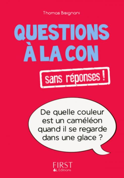 Cover of the book Petit livre de - Questions à la con sans réponses ! by Thomas BISIGNANI, edi8