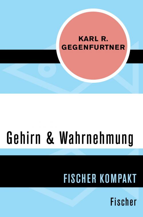 Cover of the book Gehirn & Wahrnehmung by Prof. Dr. Karl R. Gegenfurtner, FISCHER Digital