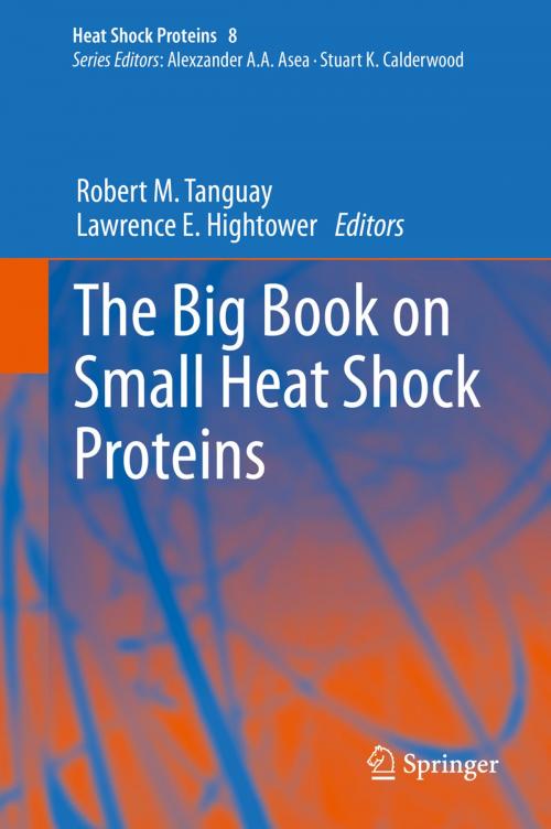 Cover of the book The Big Book on Small Heat Shock Proteins by , Springer International Publishing